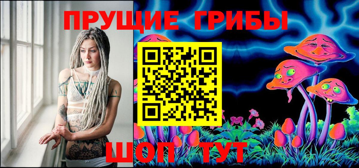 Псилоцибиновые грибы Psilocybine cubensis  Вход с VPN  Сургут  Псилоцибиновые грибы мицелий 